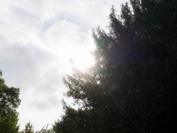JGD082025 - 12